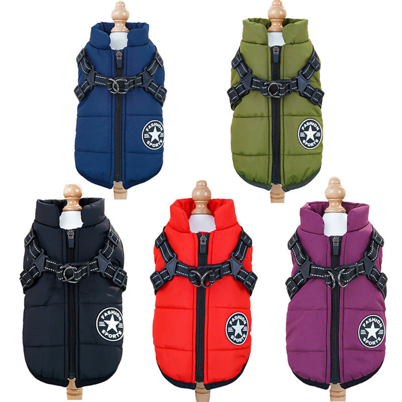 Winter Pet Apparel