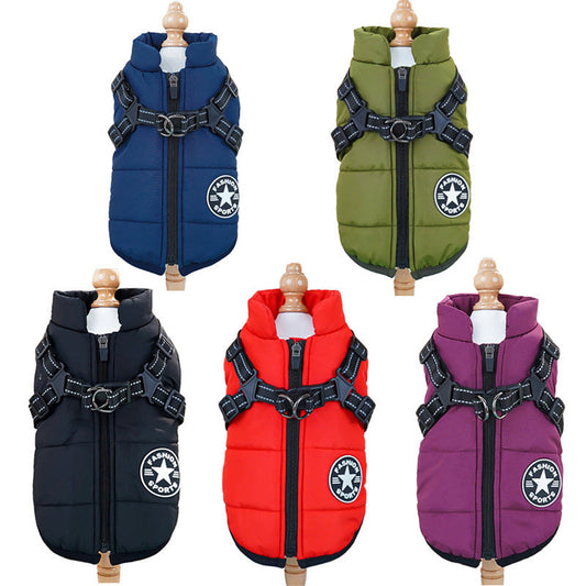 Winter Pet Apparel