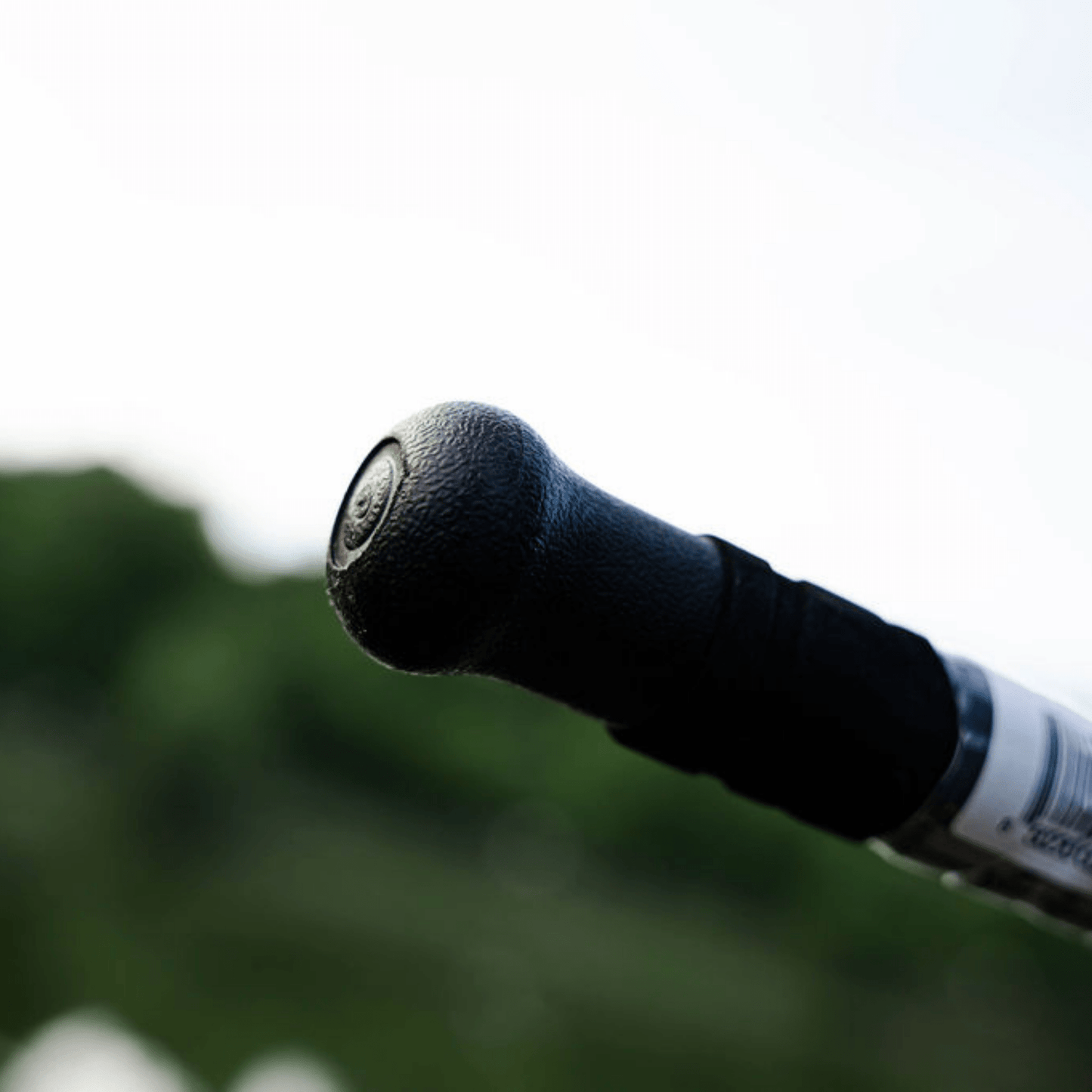 Casting Rod