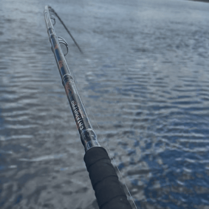 Casting Rod