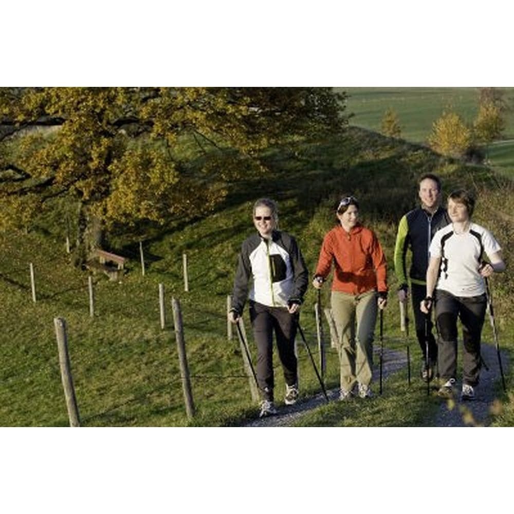 Official Casual Trek Hiking & Walking Poles