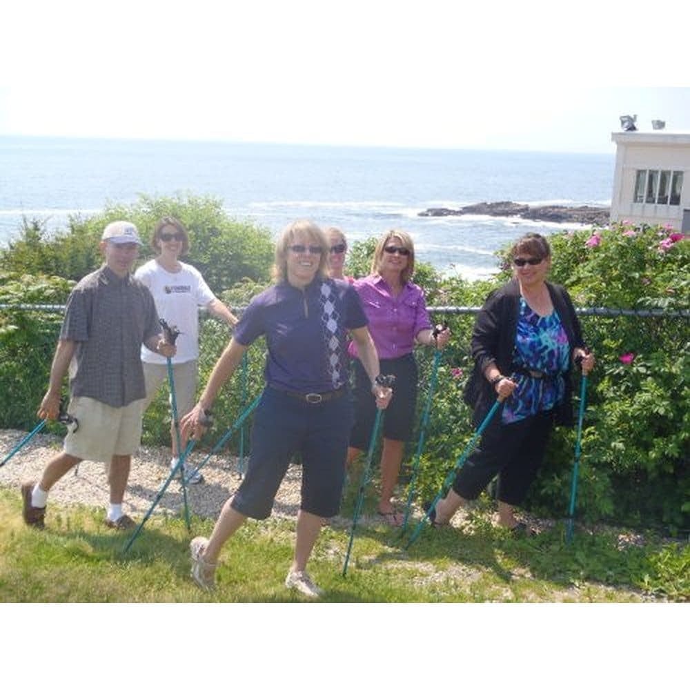 Official Casual Trek Hiking & Walking Poles